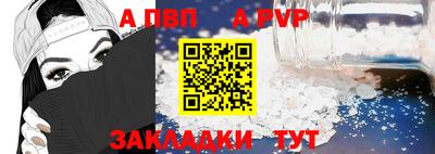 спайс Кингисепп
