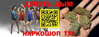 спайс Кингисепп