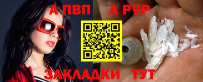 спайс Кингисепп