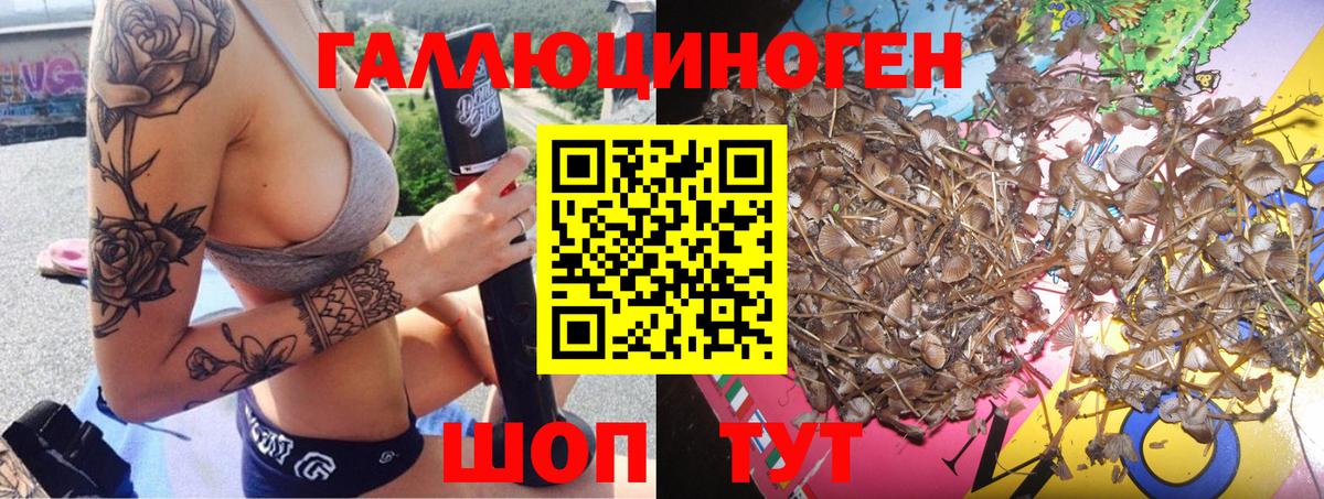 Галлюциногенные грибы Magic Shrooms  Галлюциногенные грибы прущие грибы  Учалы  Вход с VPN 